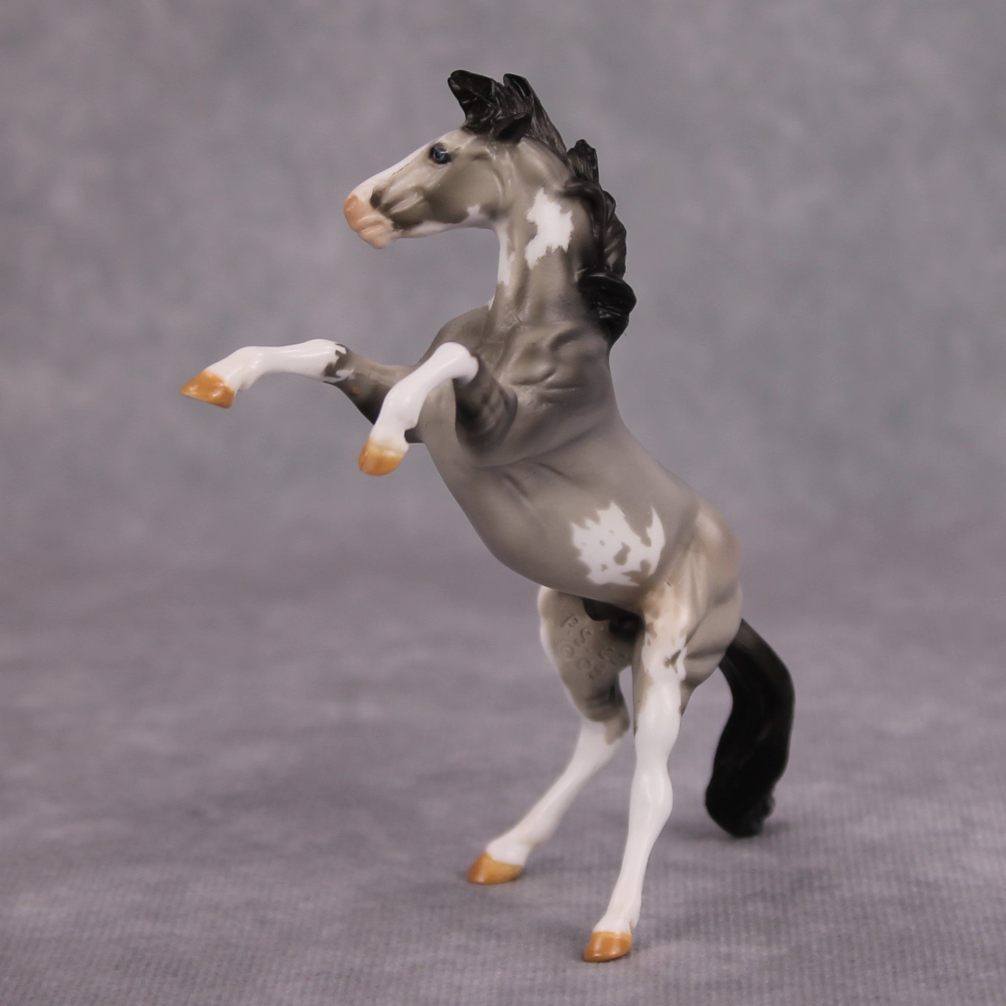 Jim OOAK Grulla Pinto Rearing Chip By Dawn Quick MM24