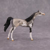 PREVIEW LISTING ONLY Bob OOAK Grulla Pinto Arabian Chip By Dawn Quick MM24