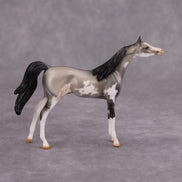 Bob OOAK Grulla Pinto Arabian Chip By Dawn Quick MM24