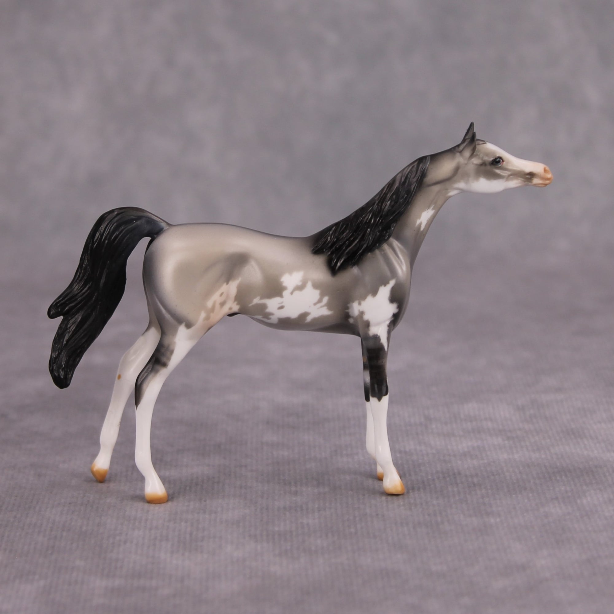 Bob OOAK Grulla Pinto Arabian Chip By Dawn Quick MM24