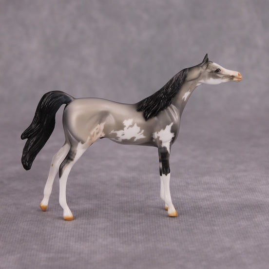 Bob OOAK Grulla Pinto Arabian Chip By Dawn Quick MM24