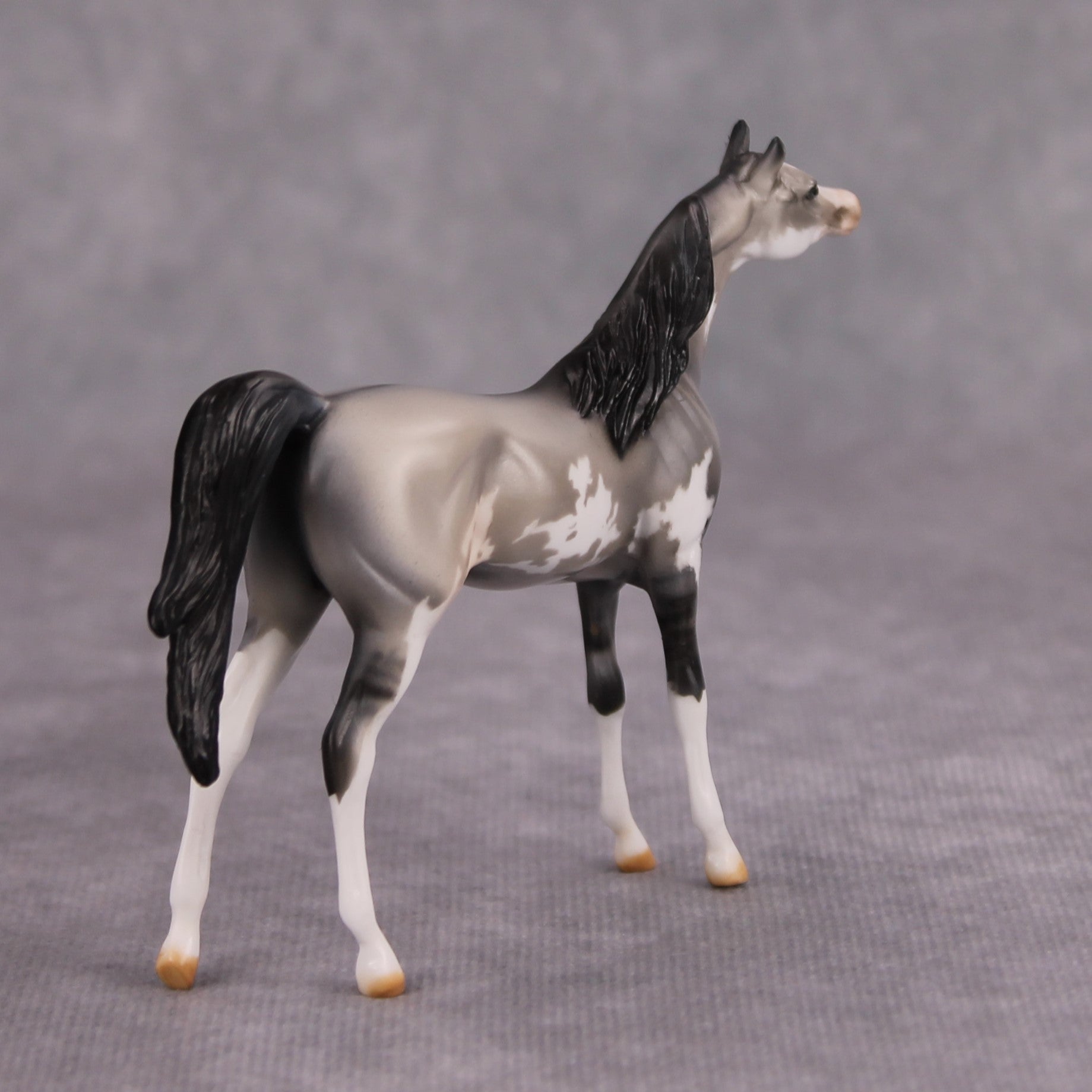 Bob OOAK Grulla Pinto Arabian Chip By Dawn Quick MM24