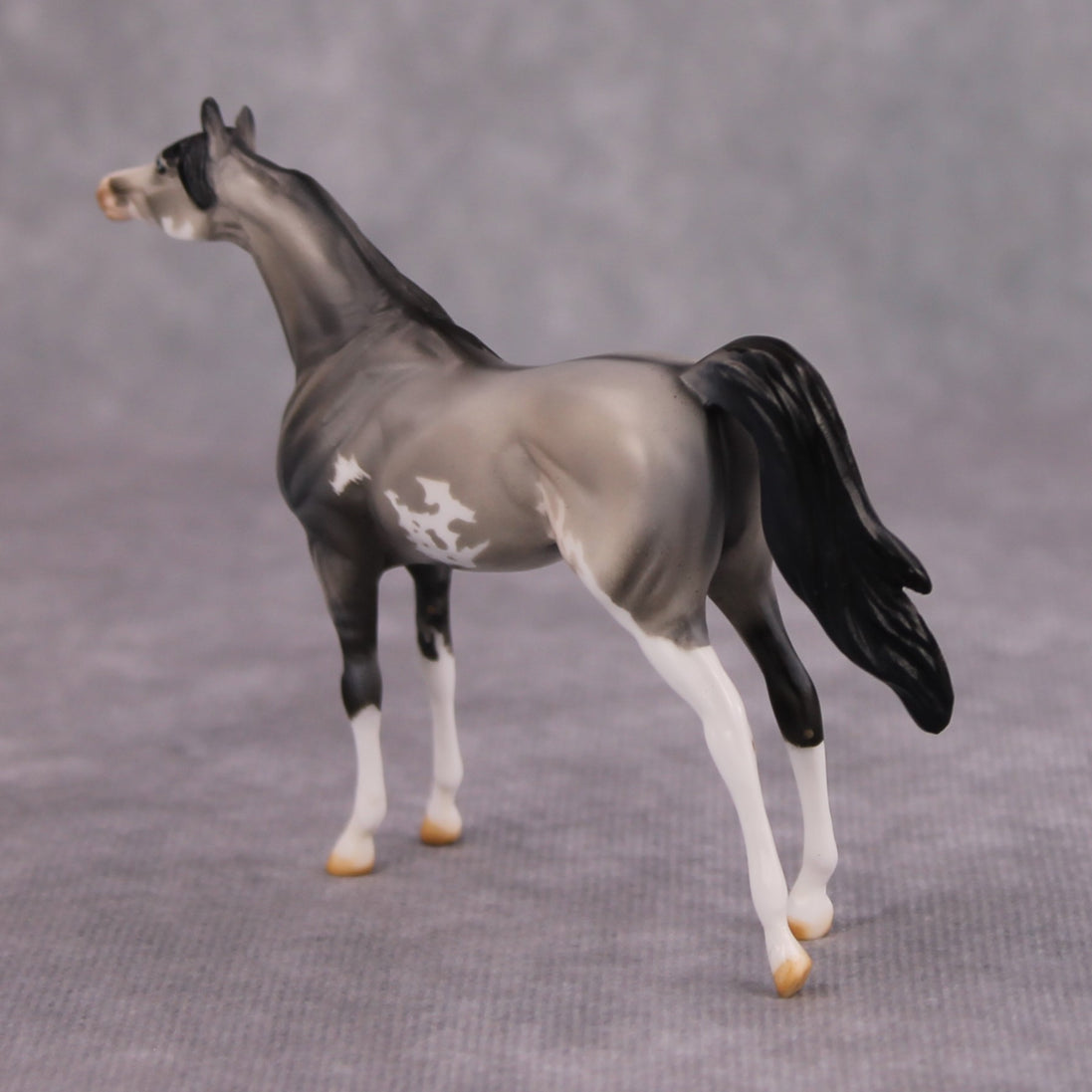Bob OOAK Grulla Pinto Arabian Chip By Dawn Quick MM24