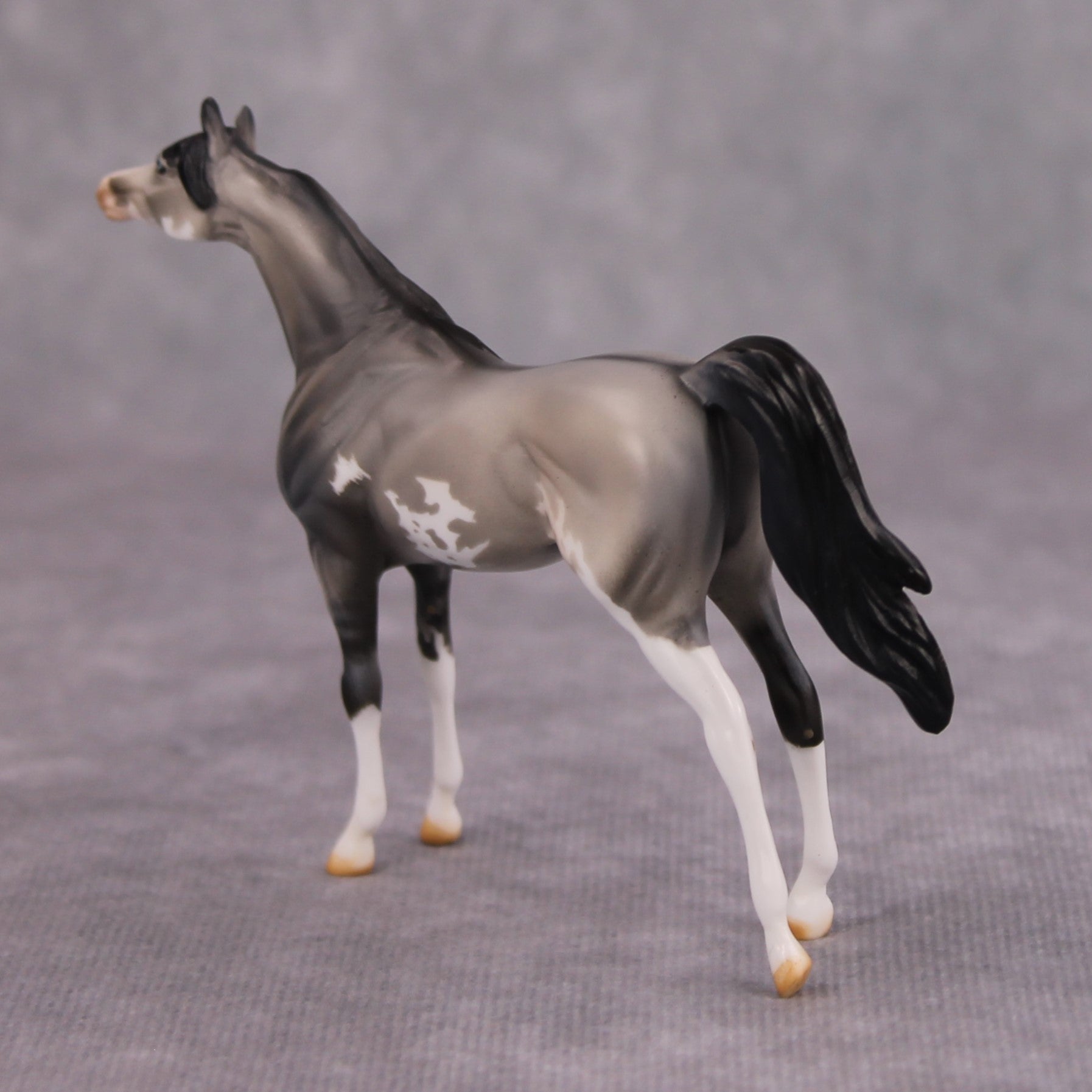 Bob OOAK Grulla Pinto Arabian Chip By Dawn Quick MM24