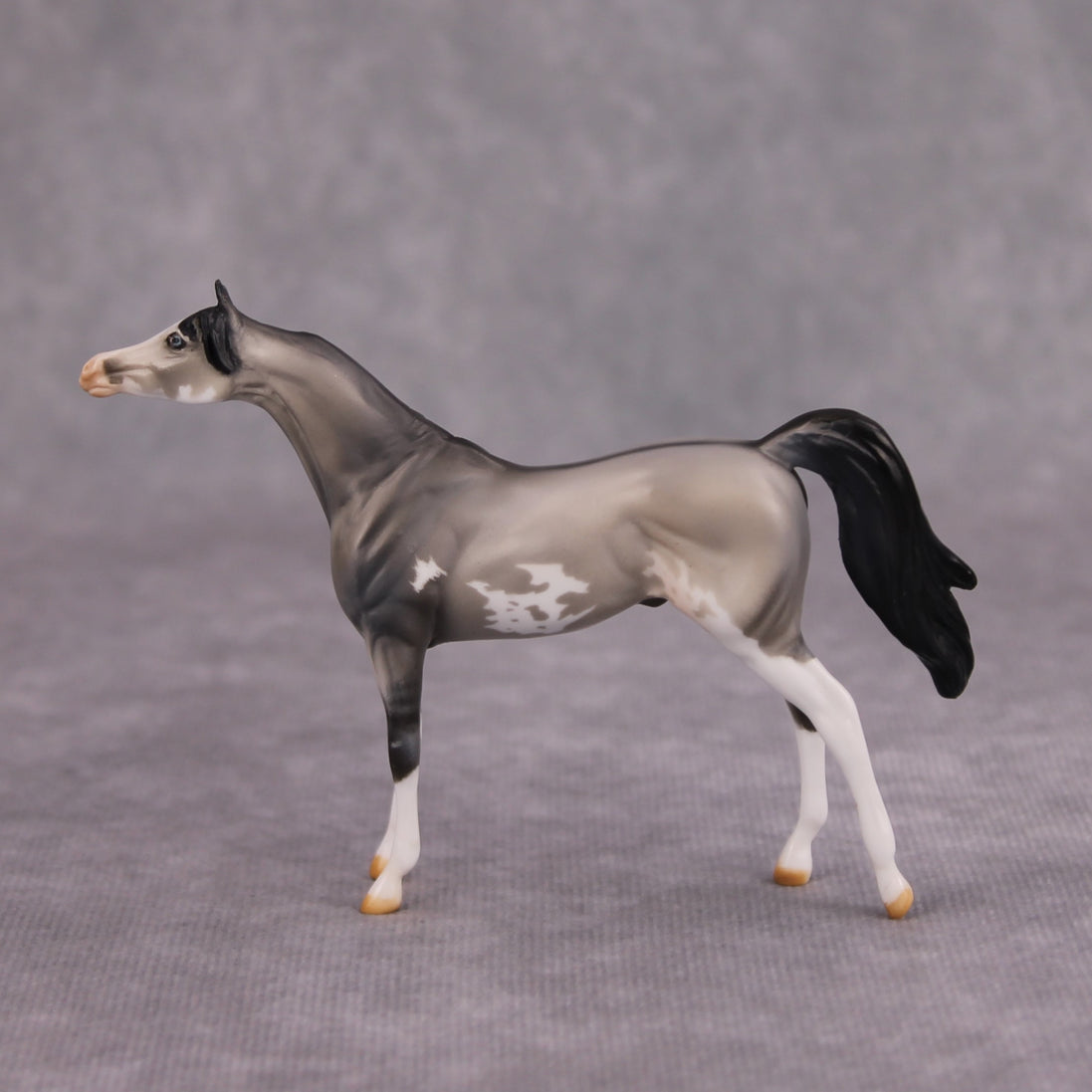Bob OOAK Grulla Pinto Arabian Chip By Dawn Quick MM24
