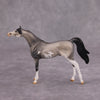 PREVIEW LISTING ONLY Bob OOAK Grulla Pinto Arabian Chip By Dawn Quick MM24