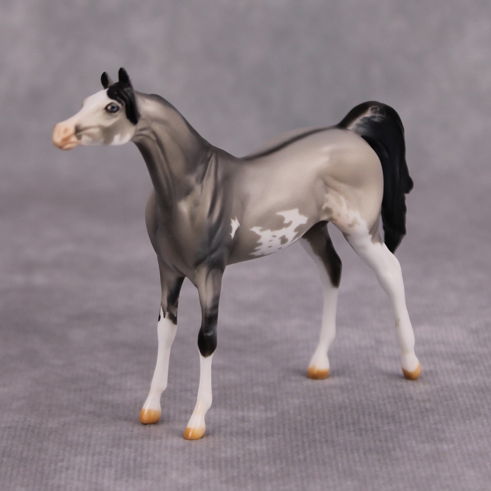 Bob OOAK Grulla Pinto Arabian Chip By Dawn Quick MM24