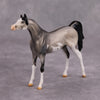 PREVIEW LISTING ONLY Bob OOAK Grulla Pinto Arabian Chip By Dawn Quick MM24