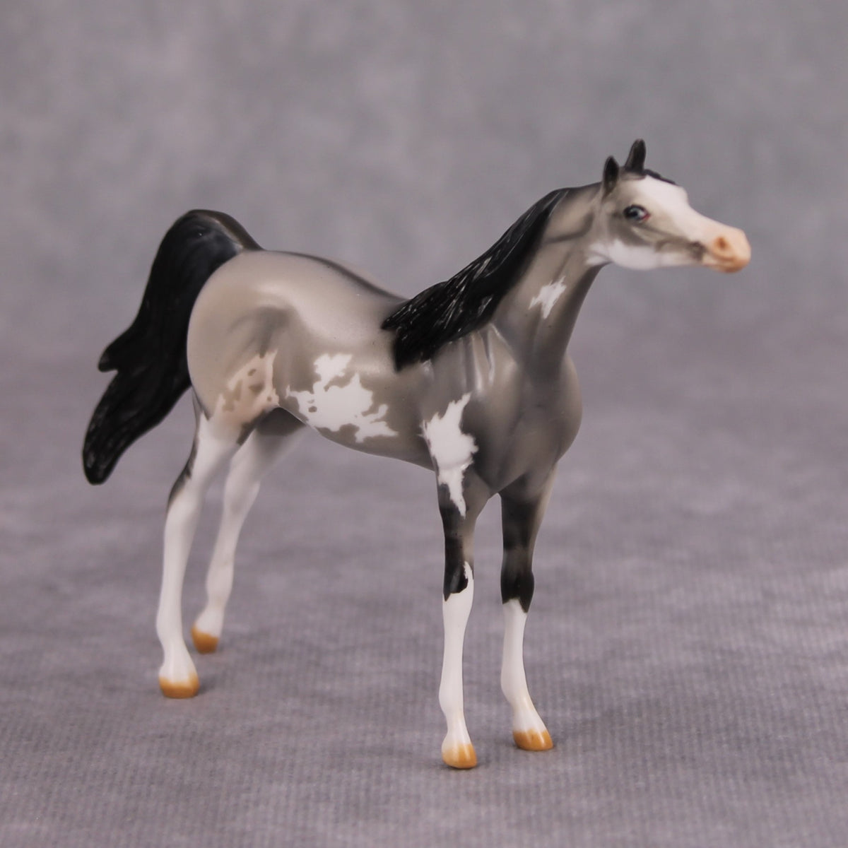 Bob OOAK Grulla Pinto Arabian Chip By Dawn Quick MM24