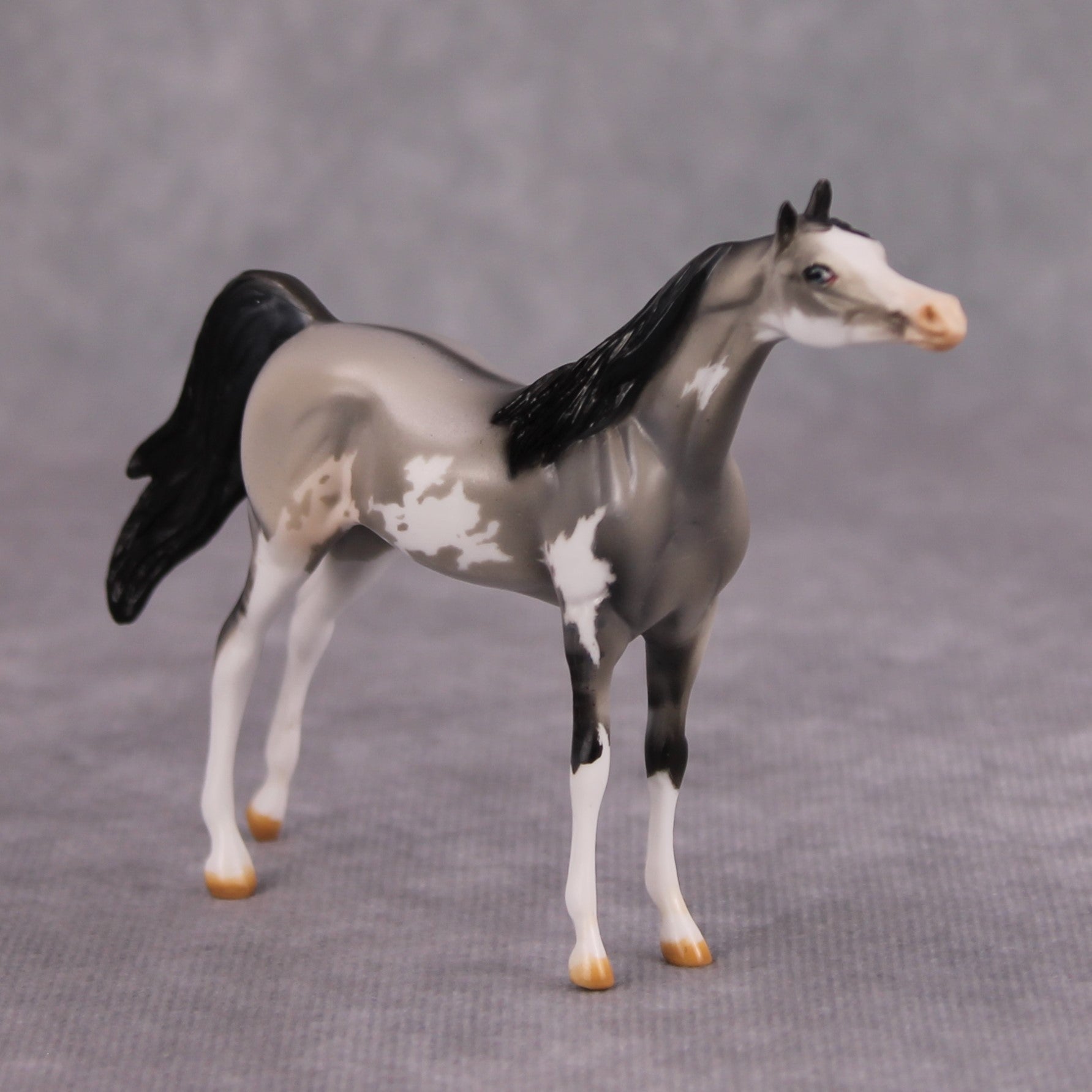 Bob OOAK Grulla Pinto Arabian Chip By Dawn Quick MM24