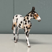 Bobalue OOAK Appaloosa Mule by Andrea Thomason Custom Mule Chip -  SAMPLE & OOAK SALE APRIL 2024 SS424