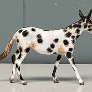 Bobalue OOAK Appaloosa Mule by Andrea Thomason Custom Mule Chip -  SAMPLE & OOAK SALE APRIL 2024 SS424
