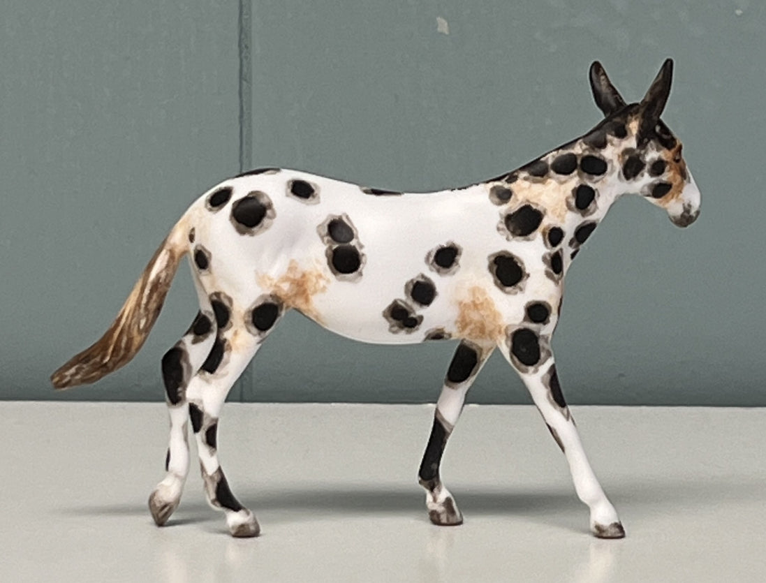 Bobalue OOAK Appaloosa Mule by Andrea Thomason Custom Mule Chip -  SAMPLE & OOAK SALE APRIL 2024 SS424