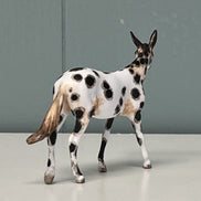 Bobalue OOAK Appaloosa Mule by Andrea Thomason Custom Mule Chip -  SAMPLE & OOAK SALE APRIL 2024 SS424