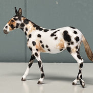 Bobalue OOAK Appaloosa Mule by Andrea Thomason Custom Mule Chip -  SAMPLE & OOAK SALE APRIL 2024 SS424