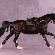 Strikes My Fancy LE-15 FCM Volo by Anna Rieck and Carissa Mathews PFP26