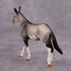 PREVIEW LISTING ONLY Quotient OOAK Grulla Pinto Mule Chip By Dawn Quick MM24