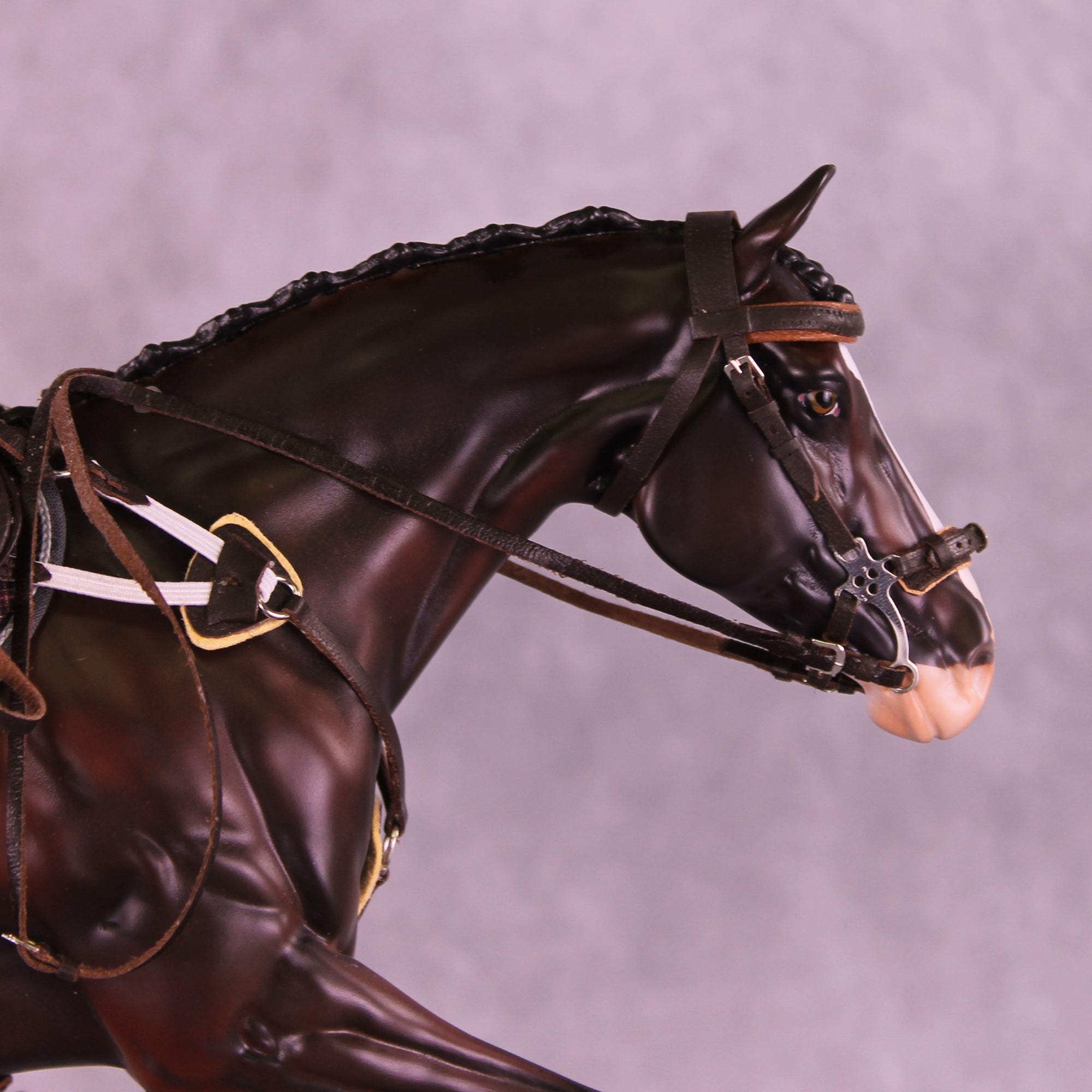 Strikes My Fancy LE-15 FCM Volo by Anna Rieck and Carissa Mathews PFP26