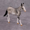 PREVIEW LISTING ONLY Quotient OOAK Grulla Pinto Mule Chip By Dawn Quick MM24