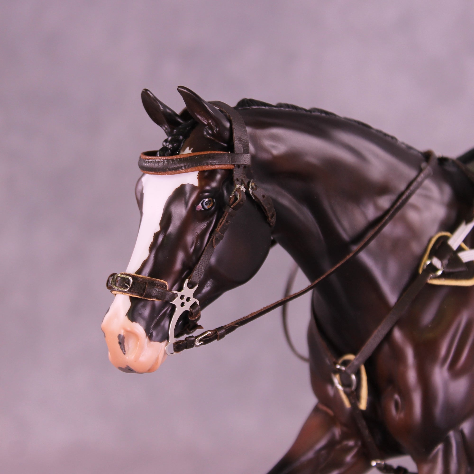 Strikes My Fancy LE-15 FCM Volo by Anna Rieck and Carissa Mathews PFP26