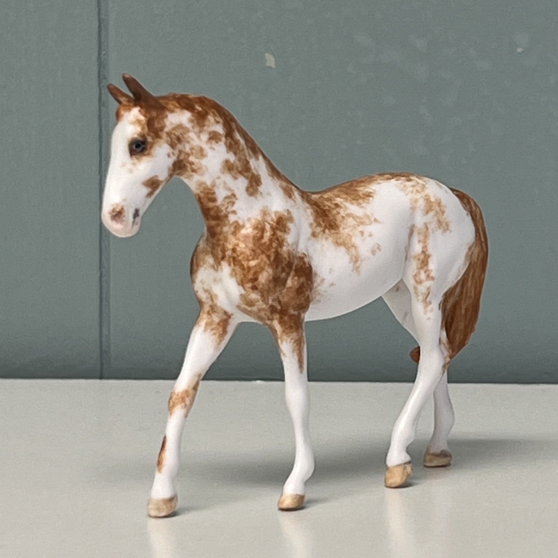 Sherri Boy OOAK Custon Warmblood Chip -  SAMPLE &amp; OOAK SALE APRIL 2024 SS424
