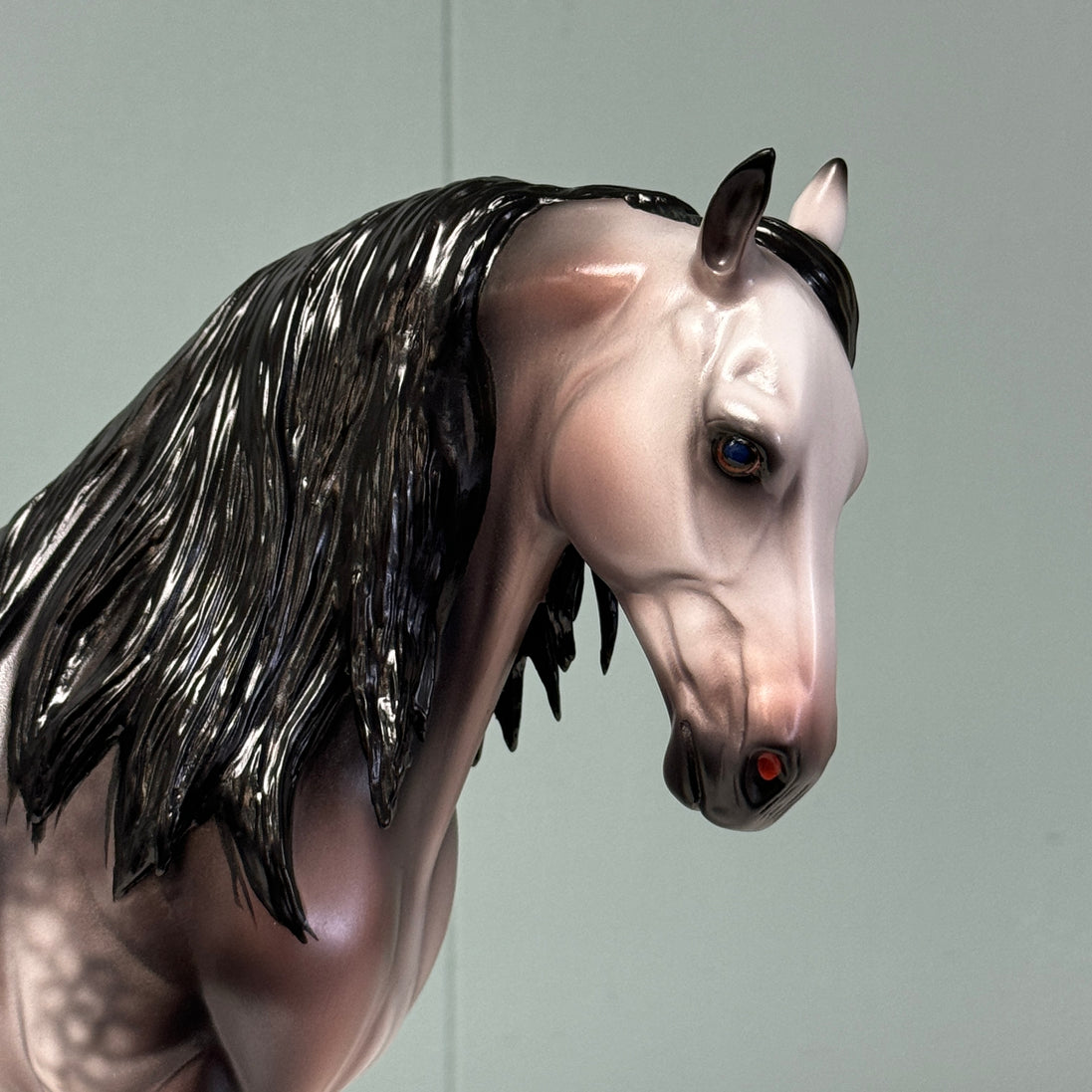 Navona OOAK Custom Dark Dappled Rose Grey Andalusian By Caroline Boydston Best Offers 8/6/24