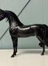 Fahad OOAK Custom Dappled Black Arabian Stallion By Caroline Boydston Best Offers 8/6/24