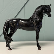 Fahad OOAK Custom Dappled Black Arabian Stallion By Caroline Boydston Best Offers 8/6/24