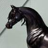 Fahad OOAK Custom Dappled Black Arabian Stallion By Caroline Boydston Best Offers 8/6/24