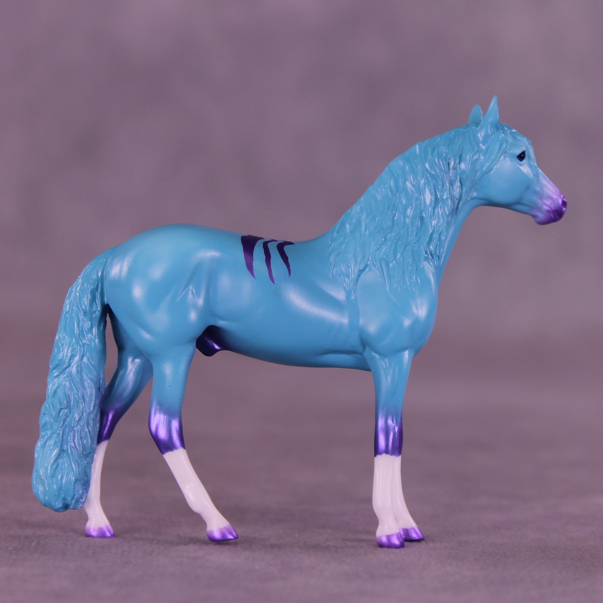 Sylvester LE-2 Chip Andalusian by Angela Marleau VTV26