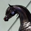 Fahad OOAK Custom Dappled Black Arabian Stallion By Caroline Boydston Best Offers 8/6/24