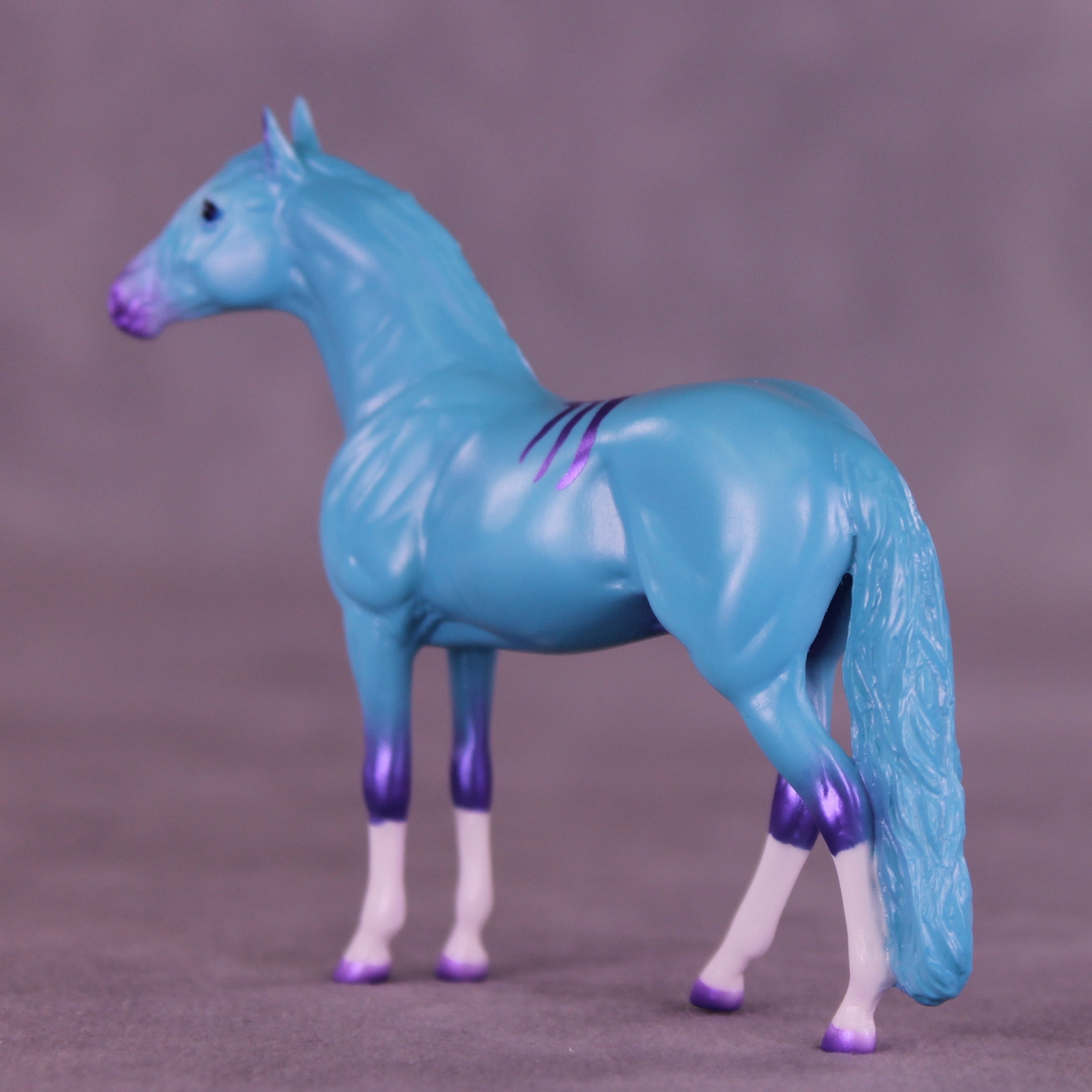 Sylvester LE-2 Chip Andalusian by Angela Marleau VTV26
