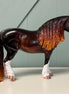 Roma OOAK Custom Dark Dappled Liver Chestnut Heavy Draft By Caroline Boydston Best Offers 8/6/24