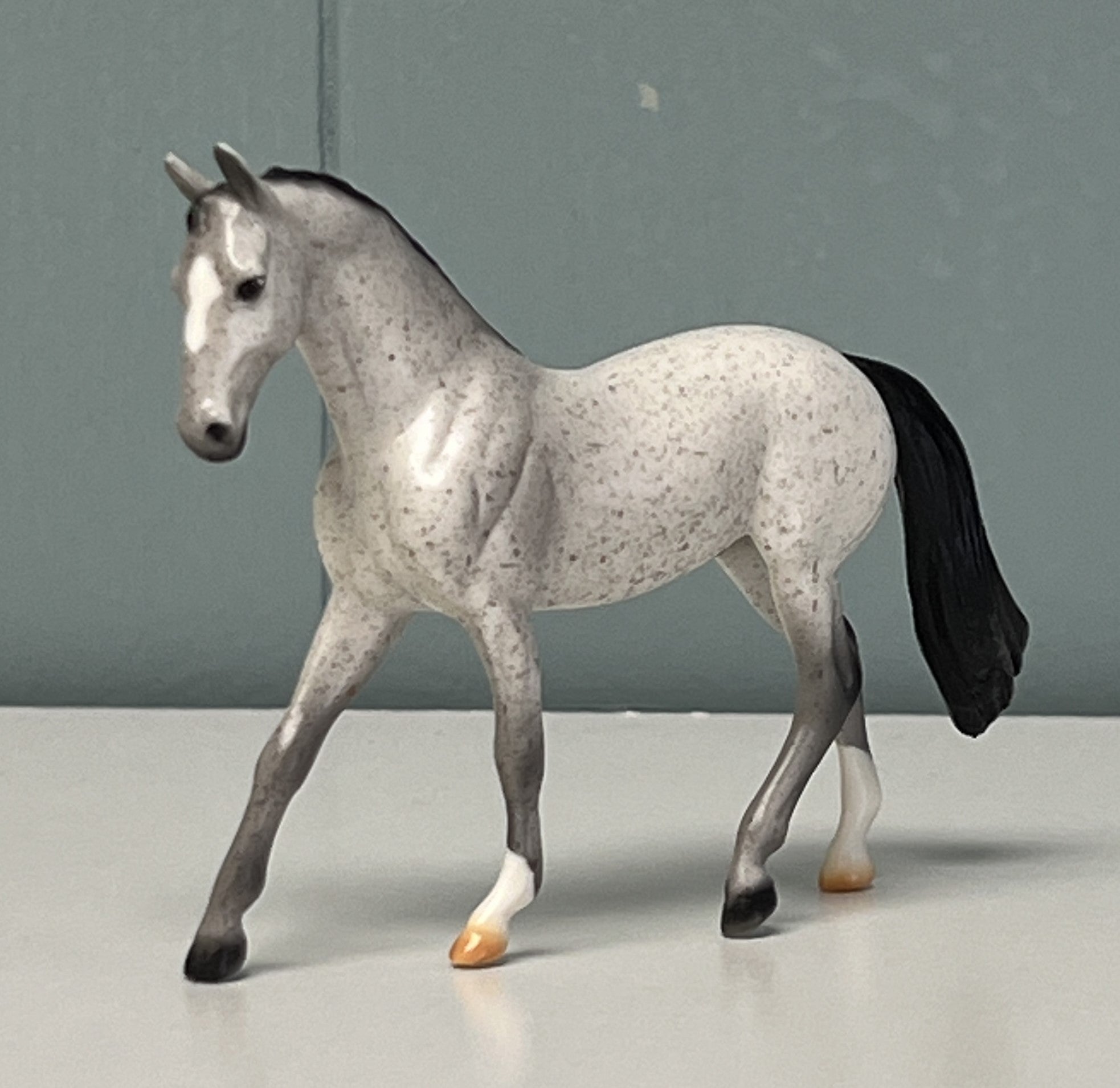 Frankincense Warmblood Chip -  SAMPLE &amp; OOAK SALE APRIL 2024 SS424