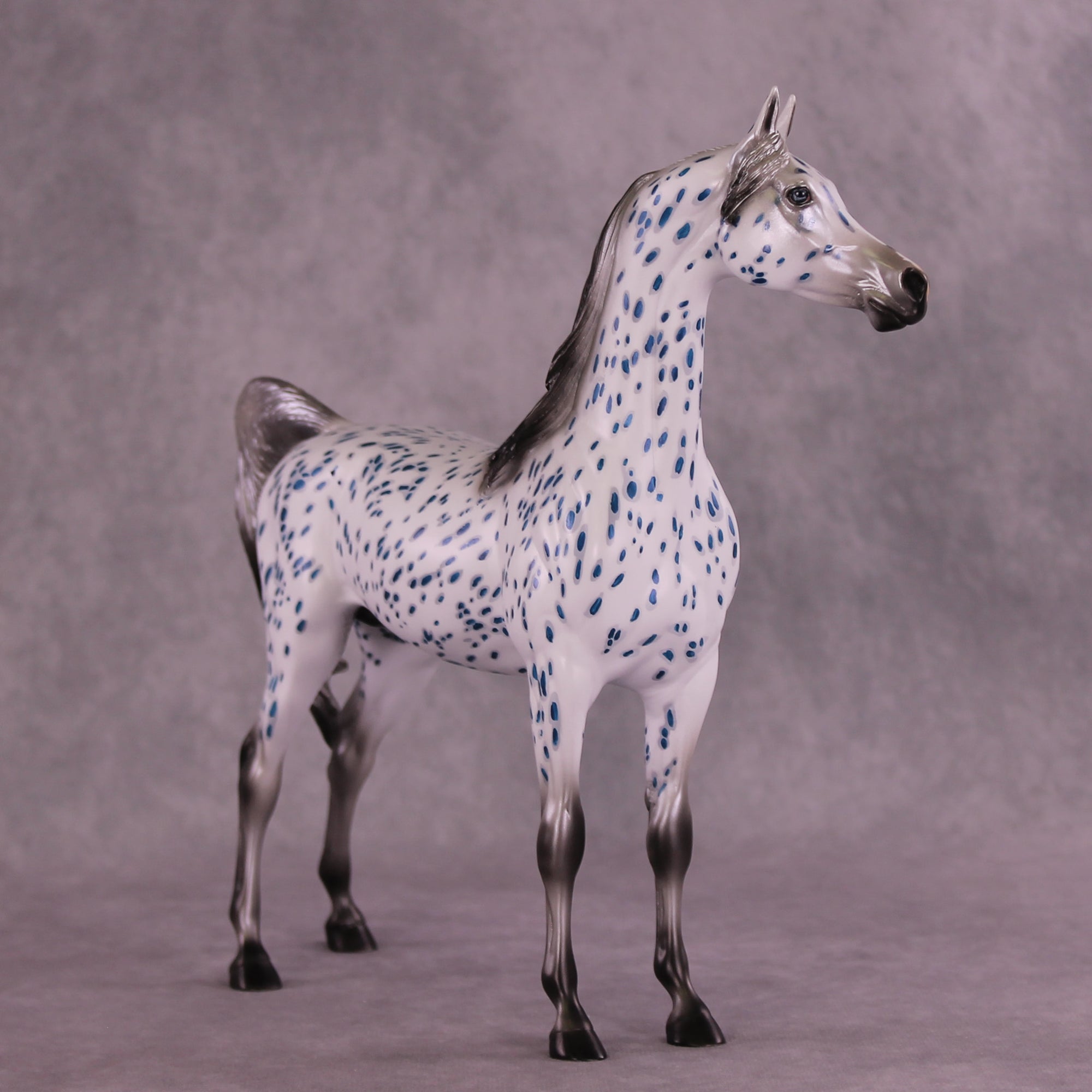 Tickets OOAK Arabian Stallion by Dawn Quick Best Offer 9/9/2025