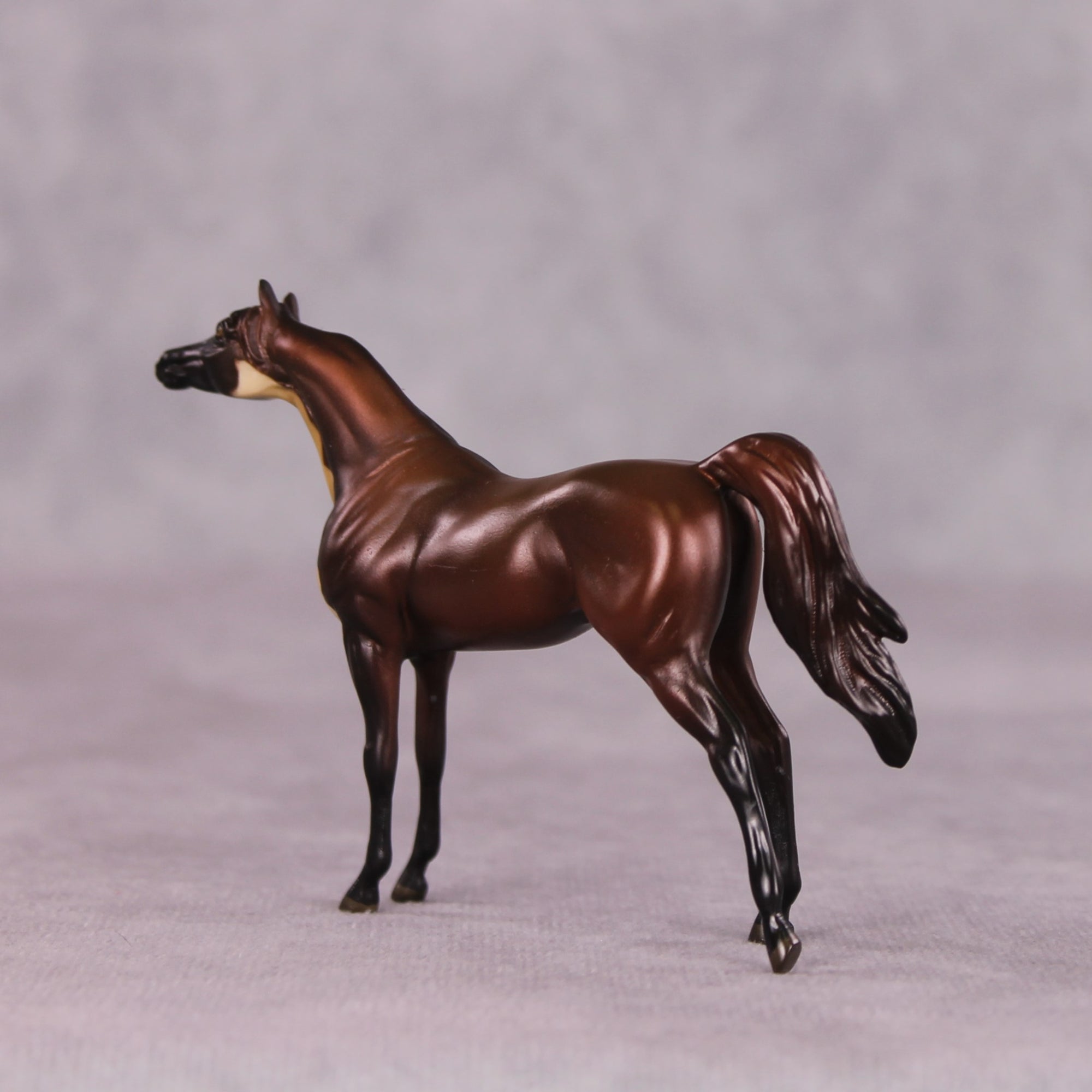 &quot;Baum&quot; LE-3 Arabian Chip by Jess Hamill - Menagerie Series