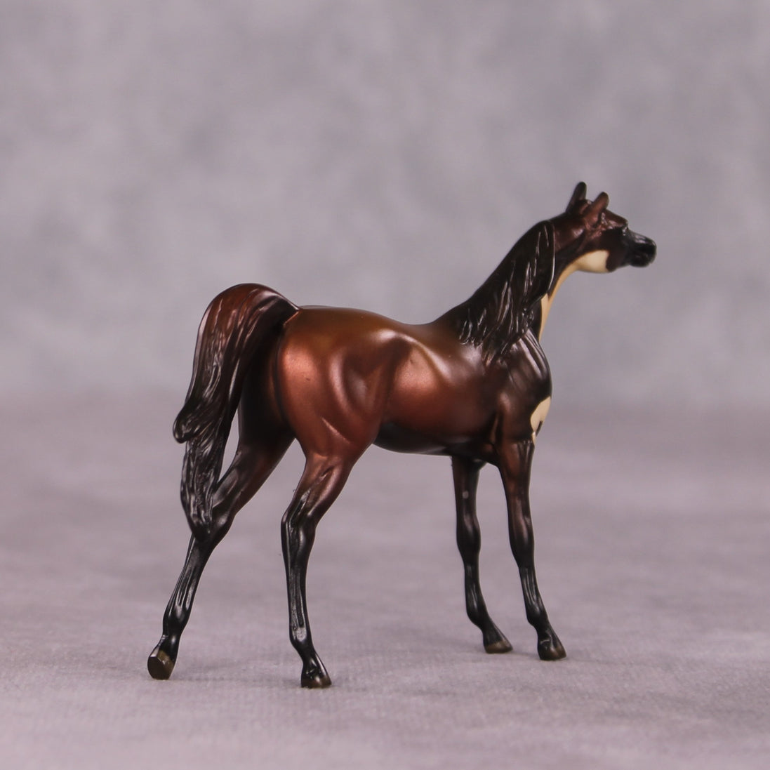 "Baum" LE-3 Arabian Chip by Jess Hamill - Menagerie Series