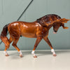 Nettuno OOAK Custom Dappled Chestnut Irish Draught By Caroline Boydston Best Offers 8/6/24