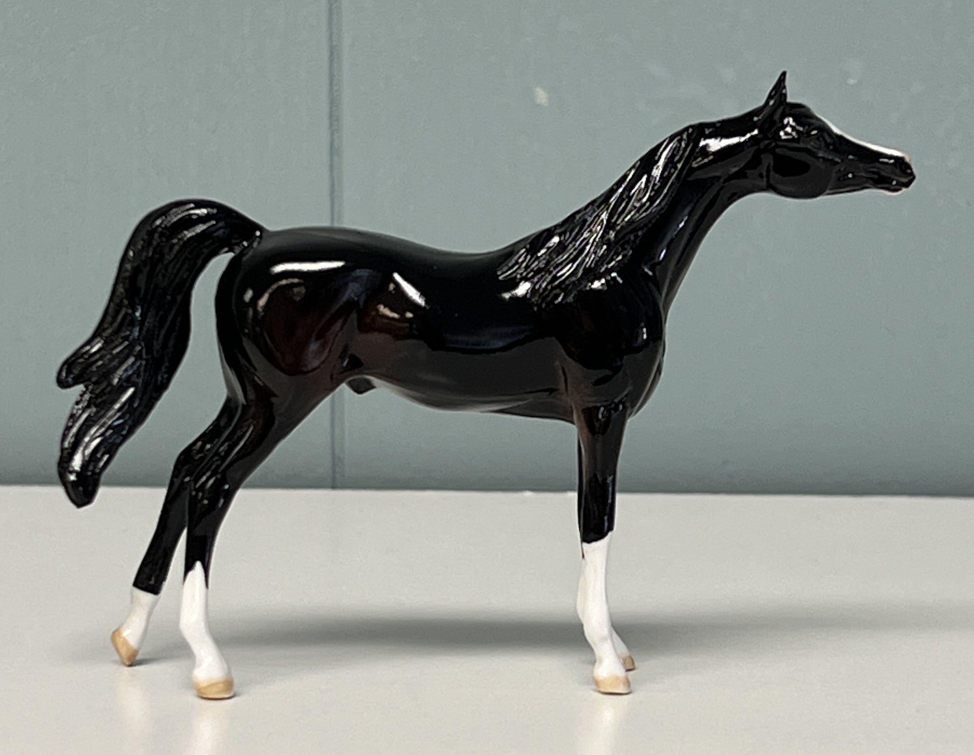 Rajah Glossy Sample Arabian Chip -  SAMPLE &amp; OOAK SALE APRIL 2024 SS424