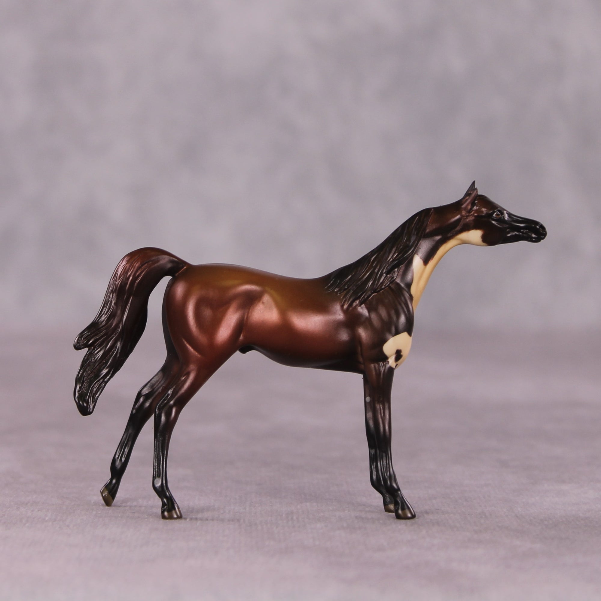 &quot;Baum&quot; LE-3 Arabian Chip by Jess Hamill - Menagerie Series