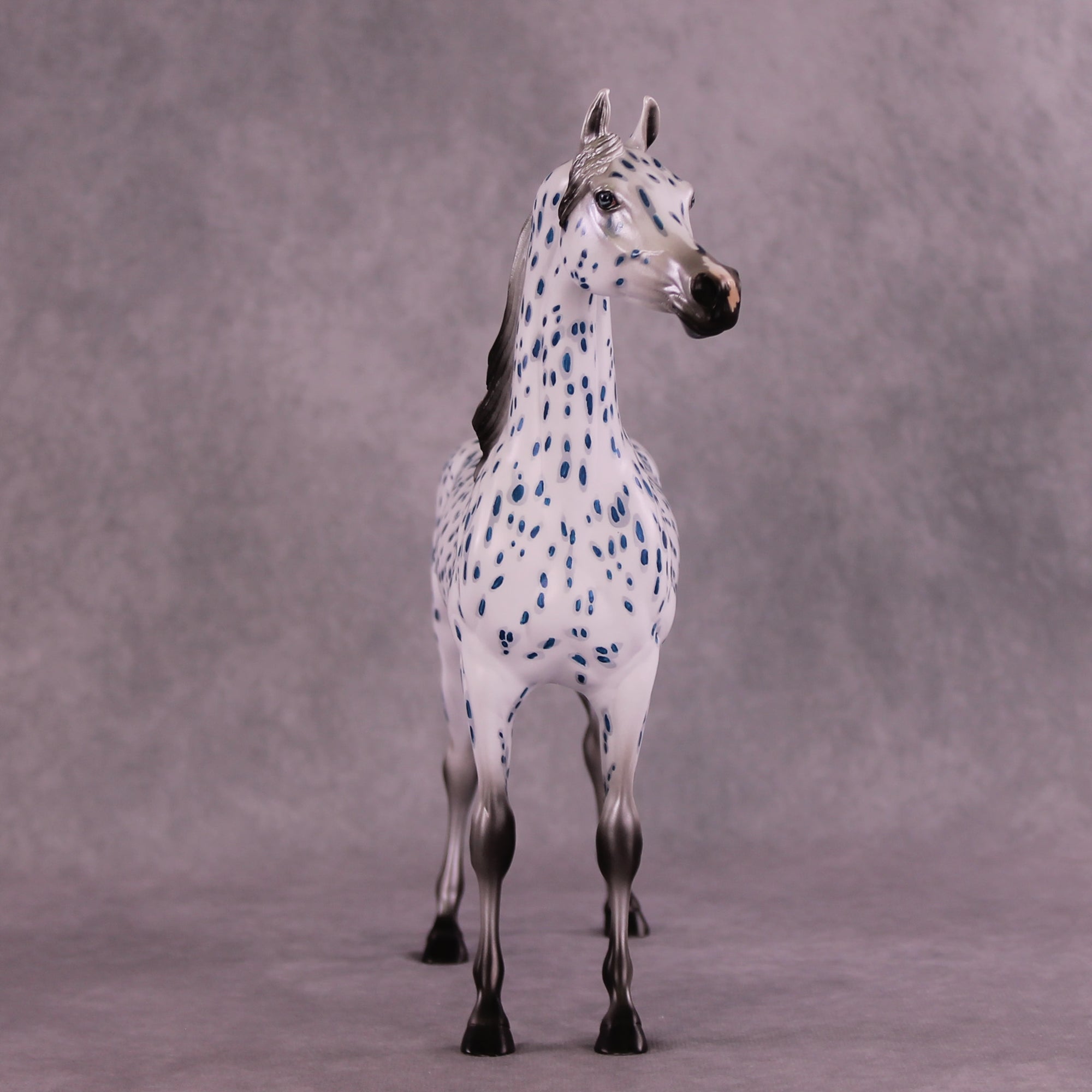 Tickets OOAK Arabian Stallion by Dawn Quick Best Offer 9/9/2025