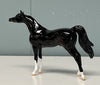 Rajah Glossy Sample Arabian Chip -  SAMPLE &amp; OOAK SALE APRIL 2024 SS424