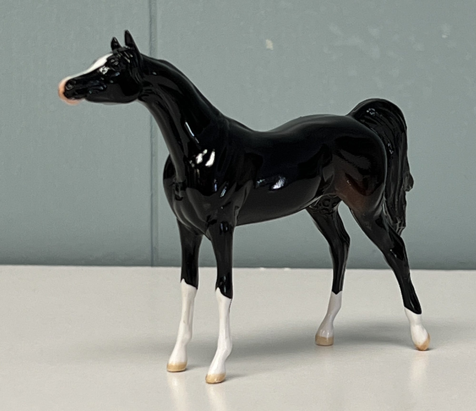 Rajah Glossy Sample Arabian Chip -  SAMPLE &amp; OOAK SALE APRIL 2024 SS424