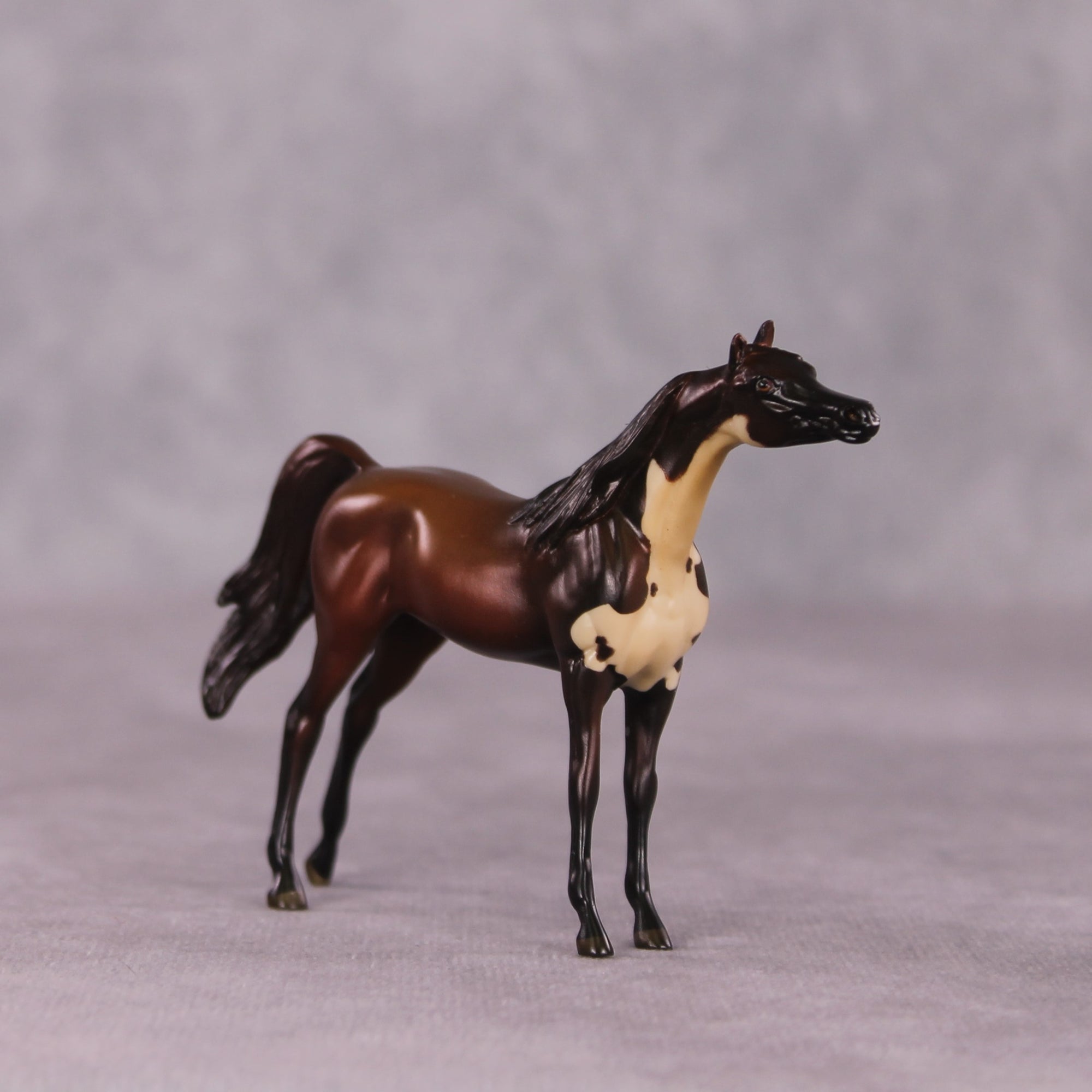 &quot;Baum&quot; LE-3 Arabian Chip by Jess Hamill - Menagerie Series
