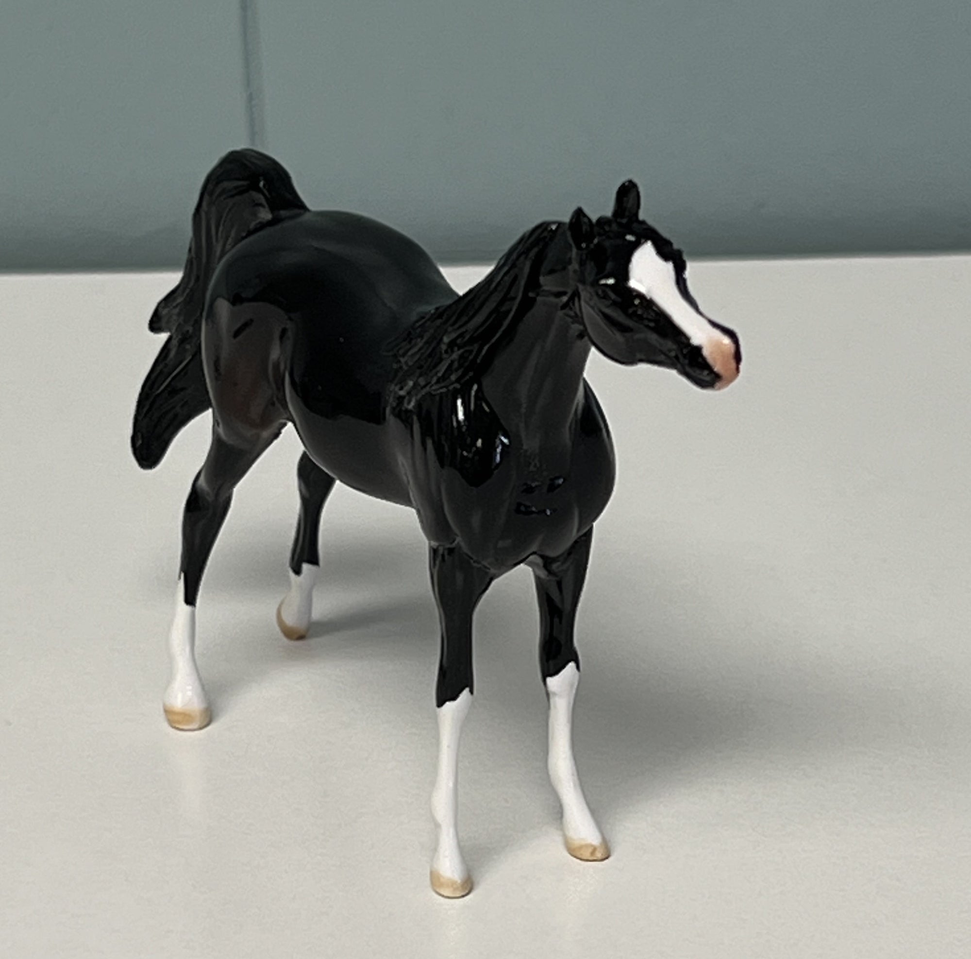 Rajah Glossy Sample Arabian Chip -  SAMPLE &amp; OOAK SALE APRIL 2024 SS424