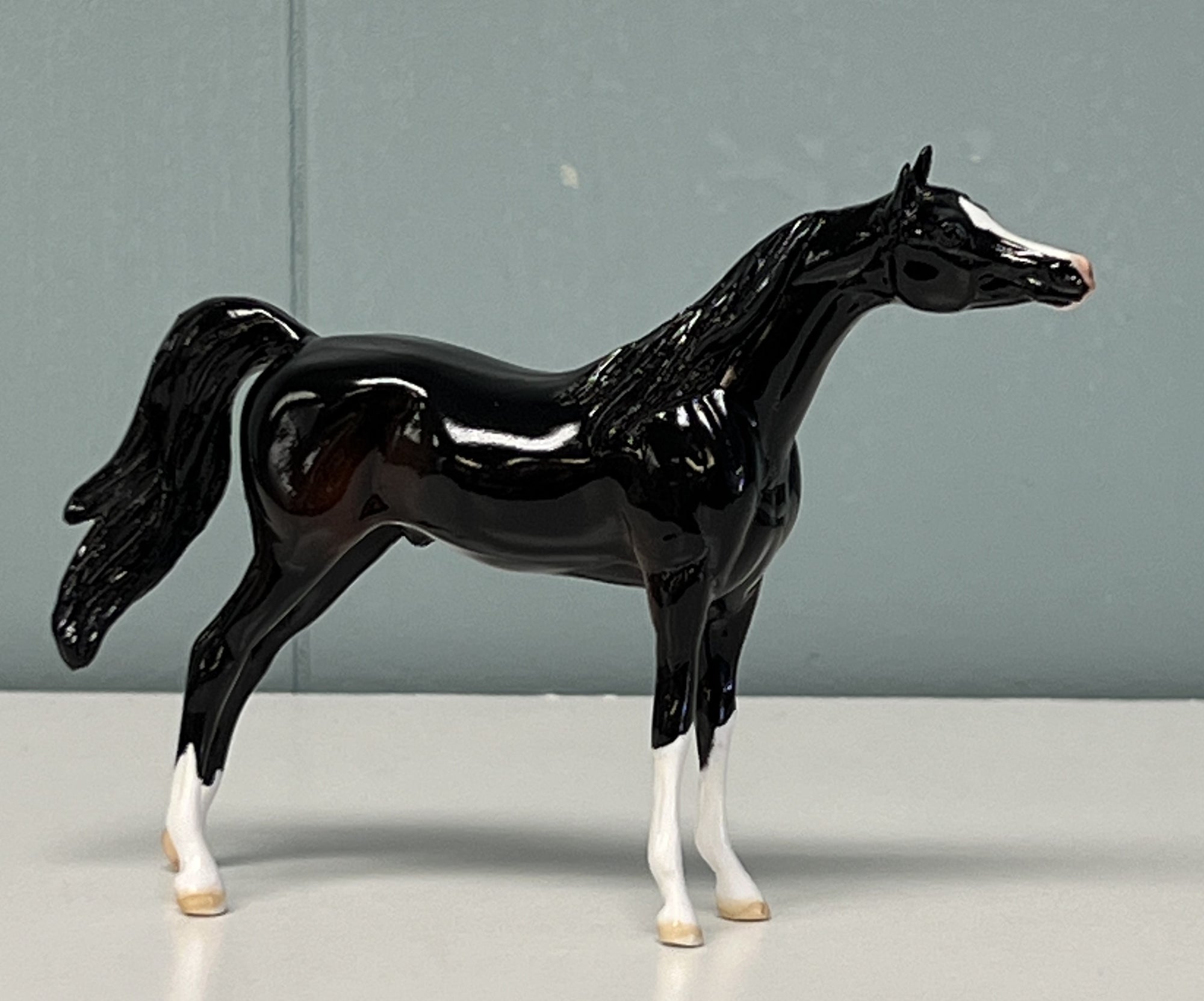 Rajah Glossy Sample Arabian Chip -  SAMPLE &amp; OOAK SALE APRIL 2024 SS424