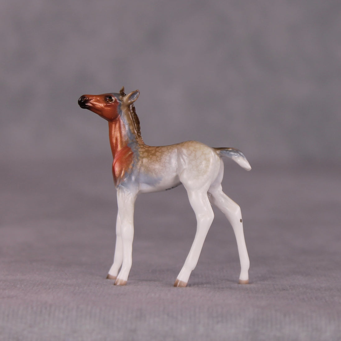 "Ruby" LE-3 Foal Chip by Jess Hamill - Menagerie Series