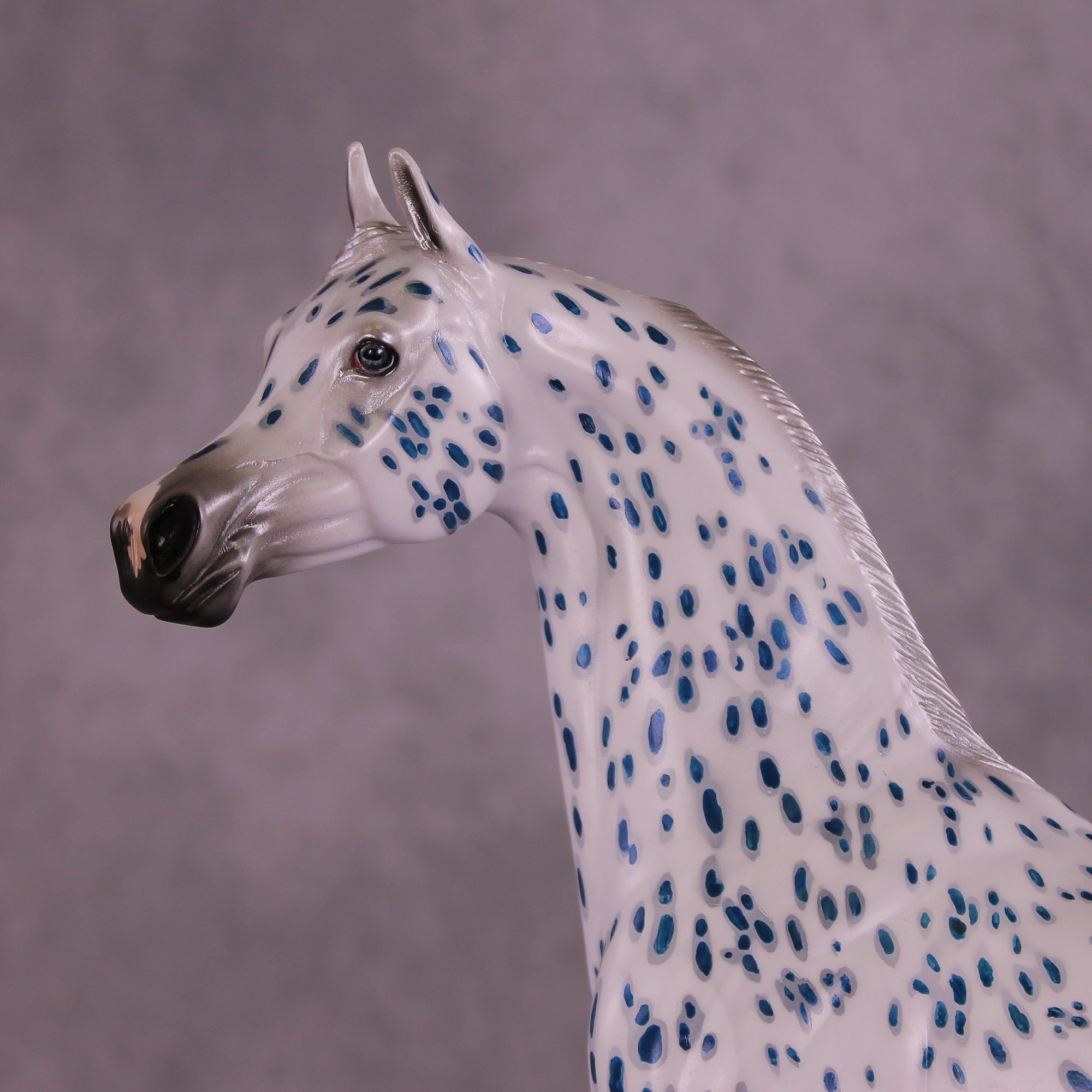 Tickets OOAK Arabian Stallion by Dawn Quick Best Offer 9/9/2025