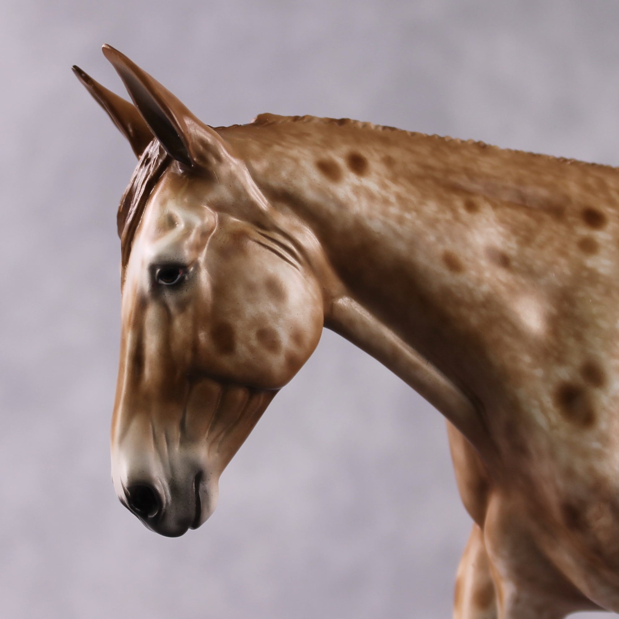 Stone Horses OOAK FCM "Hot Spots" - Appaloosa Large Mule by Sheryl Leisure &amp; Mona Best Offer 2/04/2025