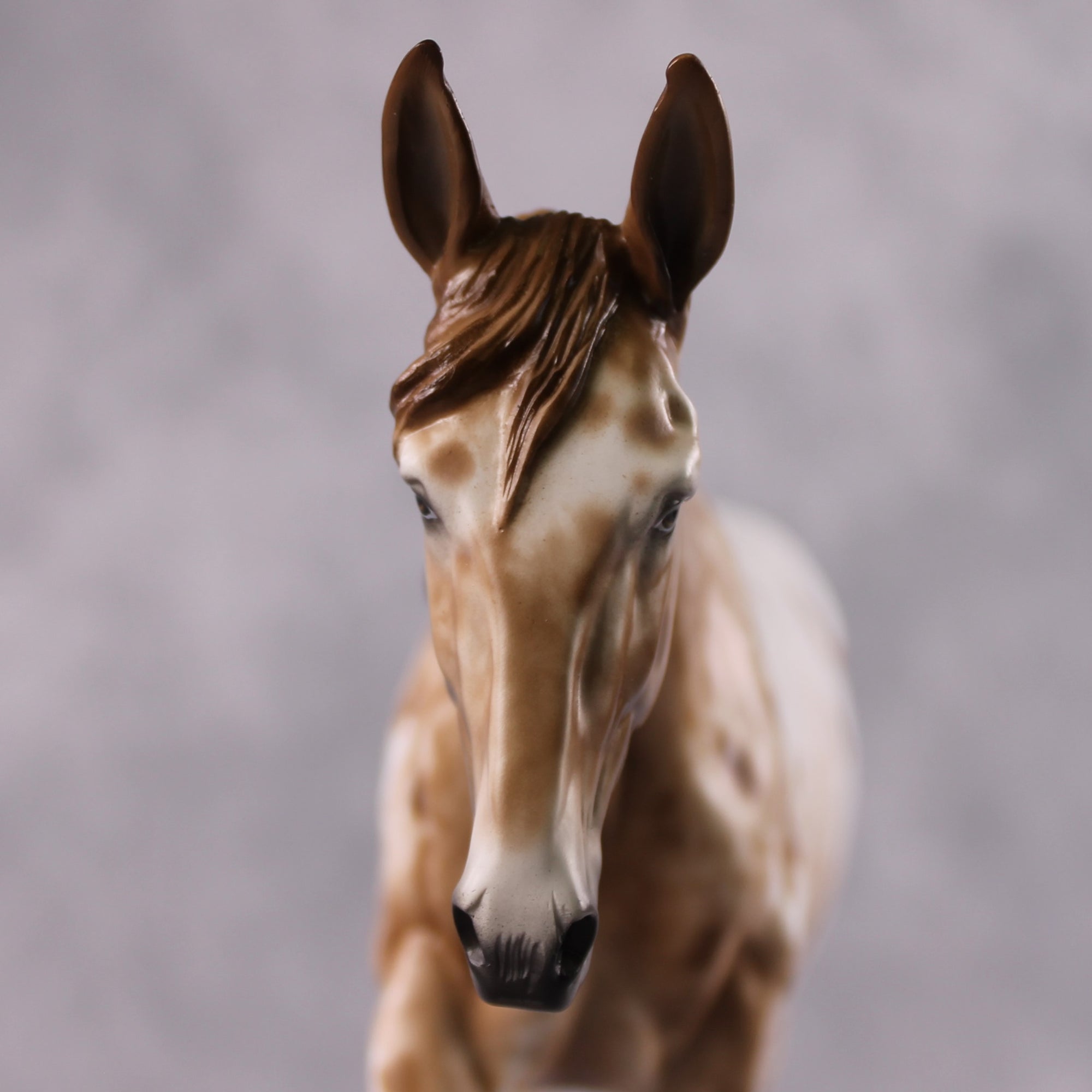 Stone Horses OOAK FCM "Hot Spots" - Appaloosa Large Mule by Sheryl Leisure &amp; Mona Best Offer 2/04/2025